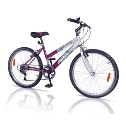 Bicicleta Baccio Wind R.26