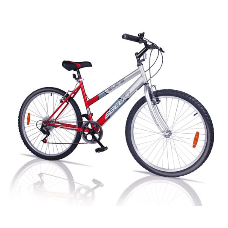 Bicicleta Baccio Alpina Lady R.24